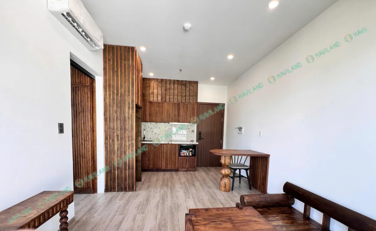 1 Bed, 1 Bath Furnished Condo in Son Tra, Da Nang - photo 1 of 9